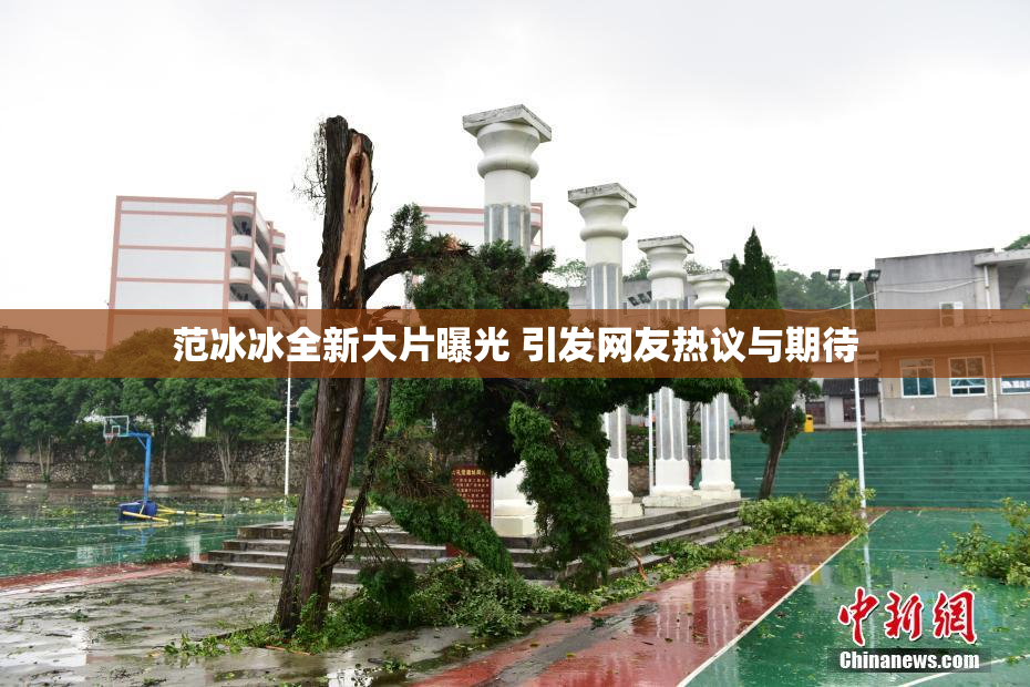 范冰冰全新大片曝光 引发网友热议与期待