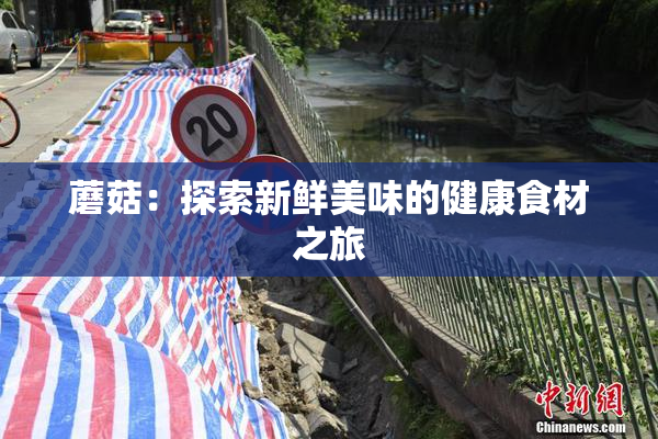 蘑菇：探索新鲜美味的健康食材之旅