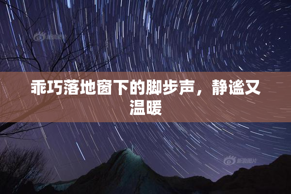 乖巧落地窗下的脚步声，静谧又温暖