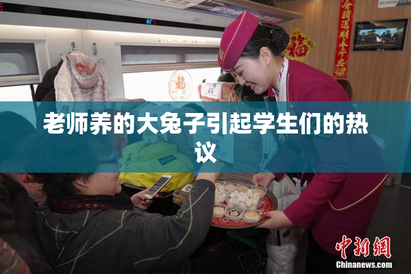 老师养的大兔子引起学生们的热议