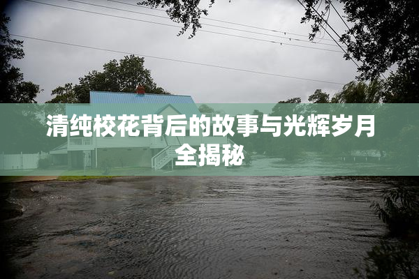 清纯校花背后的故事与光辉岁月全揭秘