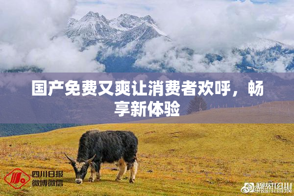 国产免费又爽让消费者欢呼，畅享新体验