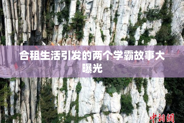 合租生活引发的两个学霸故事大曝光
