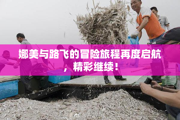 娜美与路飞的冒险旅程再度启航，精彩继续！