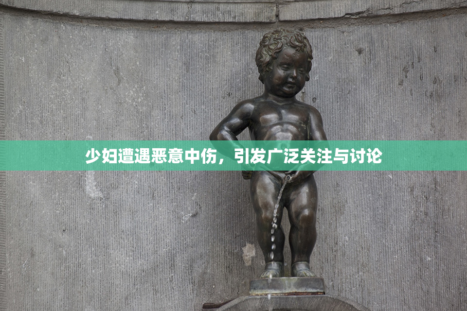 少妇遭遇恶意中伤，引发广泛关注与讨论