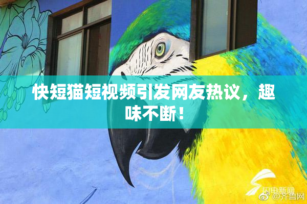 快短猫短视频引发网友热议，趣味不断！
