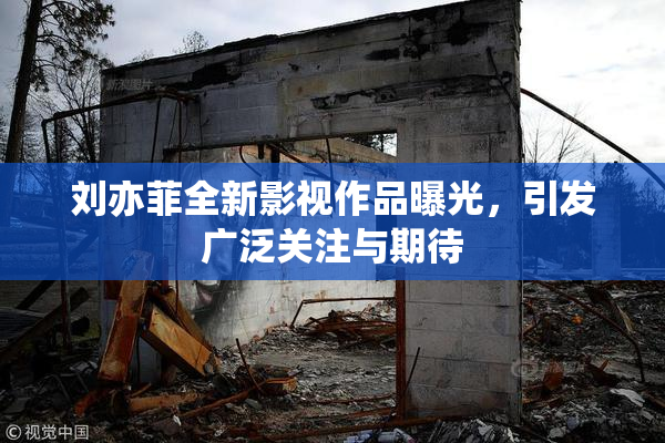刘亦菲全新影视作品曝光，引发广泛关注与期待