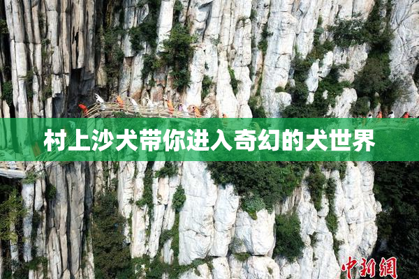 村上沙犬带你进入奇幻的犬世界
