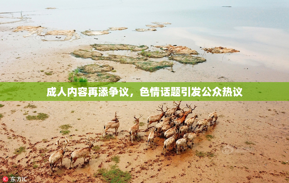 成人内容再添争议，色情话题引发公众热议