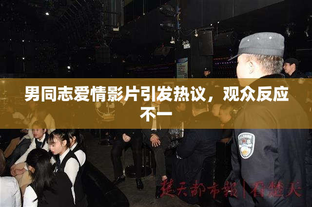 男同志爱情影片引发热议，观众反应不一