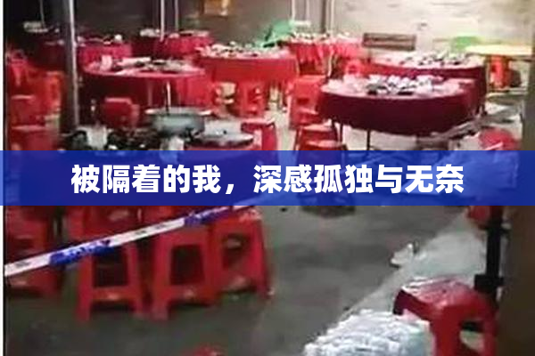 被隔着的我，深感孤独与无奈