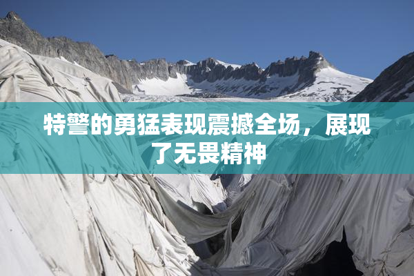 特警的勇猛表现震撼全场，展现了无畏精神