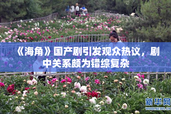 《海角》国产剧引发观众热议，剧中关系颇为错综复杂