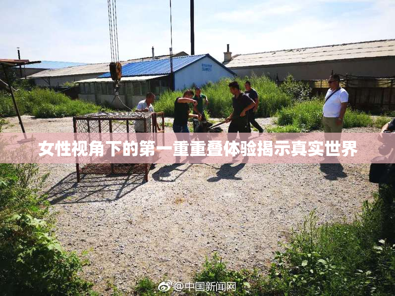 女性视角下的第一重重叠体验揭示真实世界