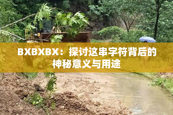 BXBXBX：探讨这串字符背后的神秘意义与用途