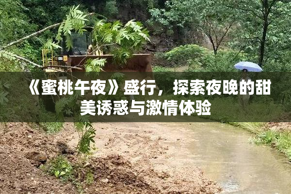 《蜜桃午夜》盛行，探索夜晚的甜美诱惑与激情体验