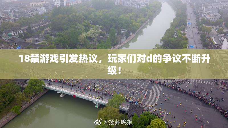 18禁游戏引发热议，玩家们对d的争议不断升级！