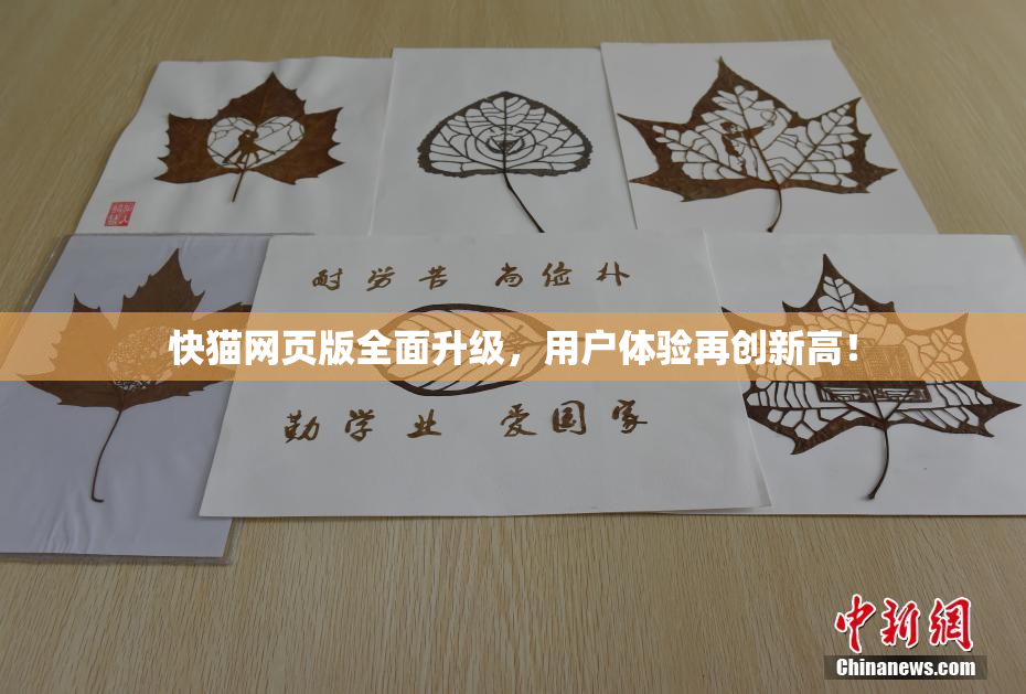 快猫网页版全面升级，用户体验再创新高！