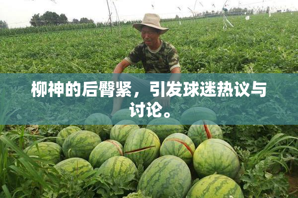 柳神的后臀紧，引发球迷热议与讨论。
