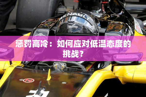 惩罚高冷：如何应对低温态度的挑战？