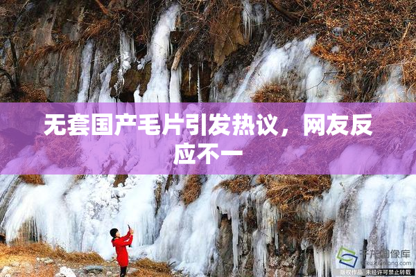 无套国产毛片引发热议，网友反应不一