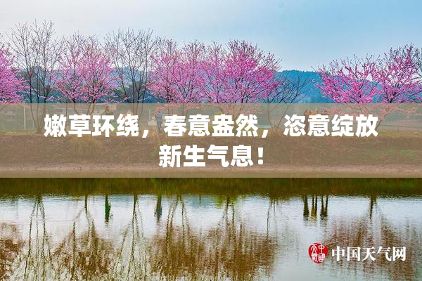 嫩草环绕，春意盎然，恣意绽放新生气息！