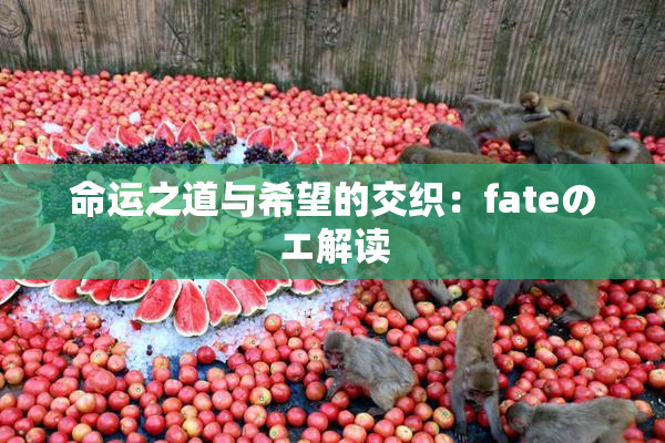 命运之道与希望的交织：fateのエ解读