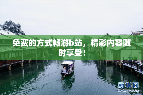 免费的方式畅游b站，精彩内容随时享受！
