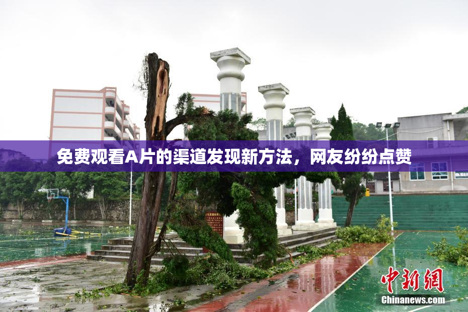 免费观看A片的渠道发现新方法，网友纷纷点赞