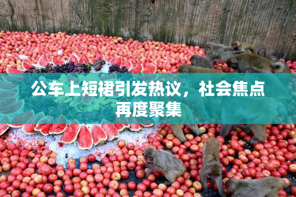 公车上短裙引发热议，社会焦点再度聚集