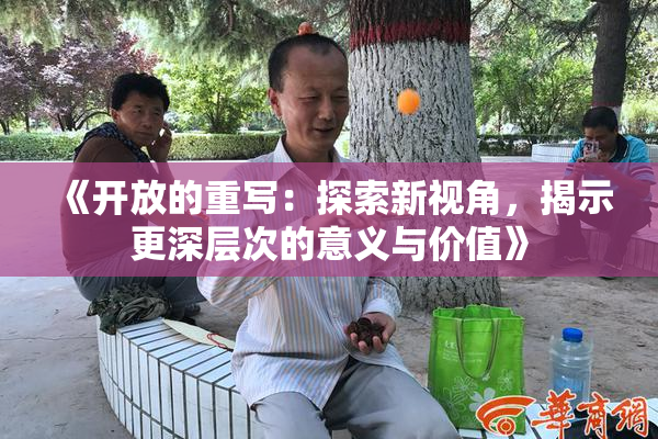 《开放的重写：探索新视角，揭示更深层次的意义与价值》