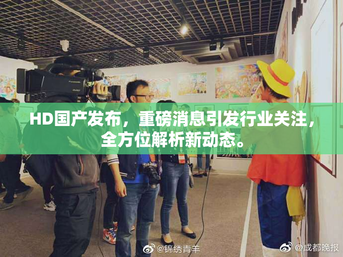 HD国产发布，重磅消息引发行业关注，全方位解析新动态。
