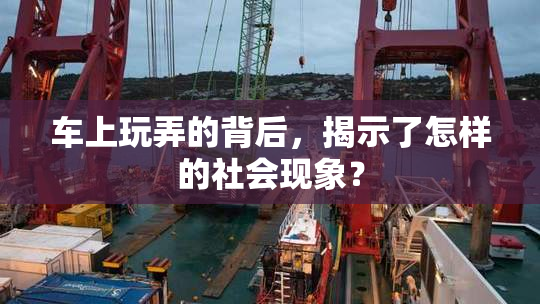 车上玩弄的背后，揭示了怎样的社会现象？