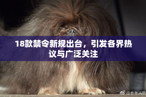18款禁令新规出台，引发各界热议与广泛关注