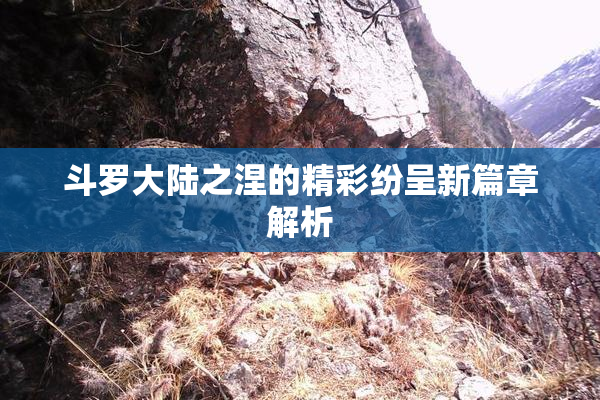 斗罗大陆之涅的精彩纷呈新篇章解析