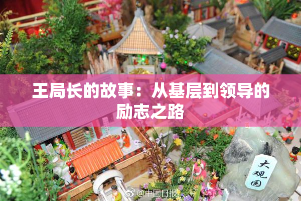 王局长的故事：从基层到领导的励志之路
