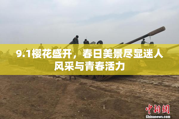 9.1樱花盛开，春日美景尽显迷人风采与青春活力