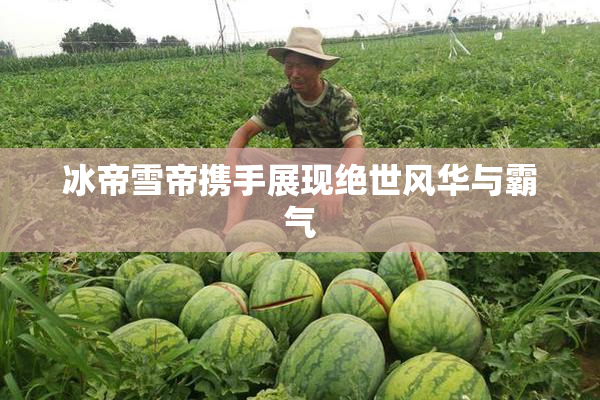 冰帝雪帝携手展现绝世风华与霸气