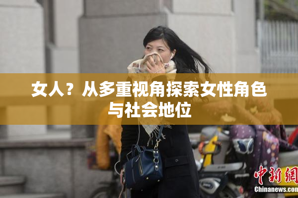 女人？从多重视角探索女性角色与社会地位