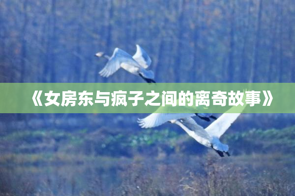 《女房东与疯子之间的离奇故事》