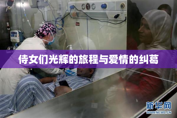 侍女们光辉的旅程与爱情的纠葛