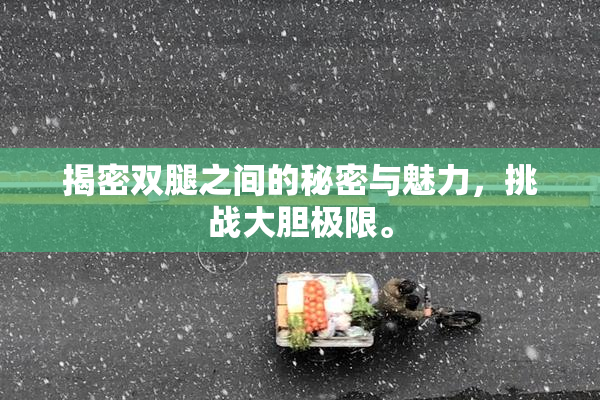 揭密双腿之间的秘密与魅力，挑战大胆极限。