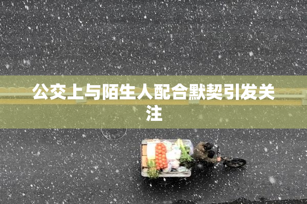 公交上与陌生人配合默契引发关注
