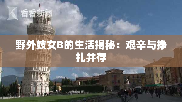 野外妓女B的生活揭秘：艰辛与挣扎并存