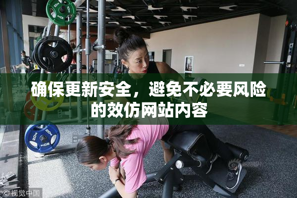 确保更新安全，避免不必要风险的效仿网站内容