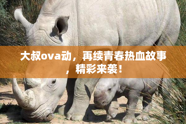 大叔ova动，再续青春热血故事，精彩来袭！