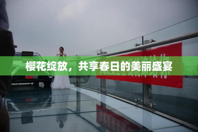 樱花绽放，共享春日的美丽盛宴