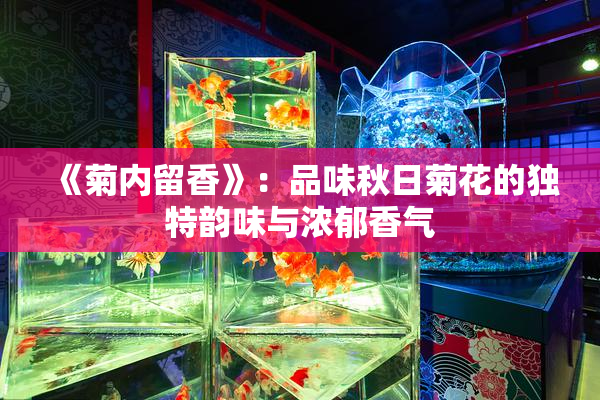 《菊内留香》：品味秋日菊花的独特韵味与浓郁香气