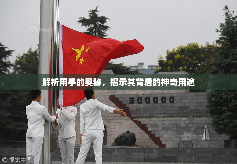 解析用手的奥秘，揭示其背后的神奇用途