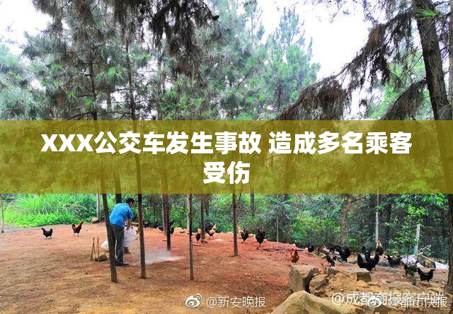 XXX公交车发生事故 造成多名乘客受伤